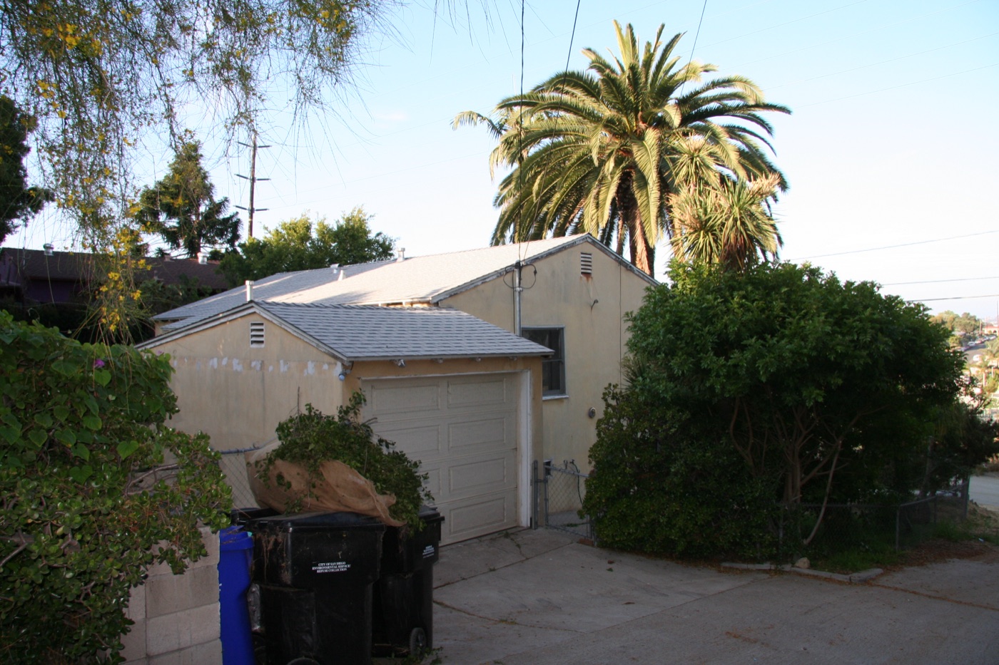 Original garage and driveway under the palms before the remodel