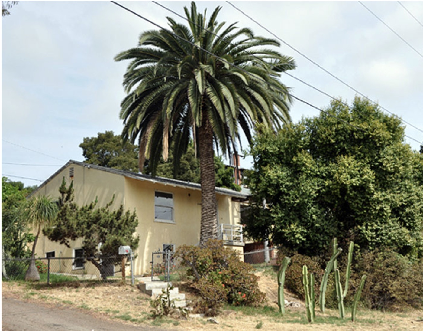 The original 1951 house from the street, palm rising over the gabled roof