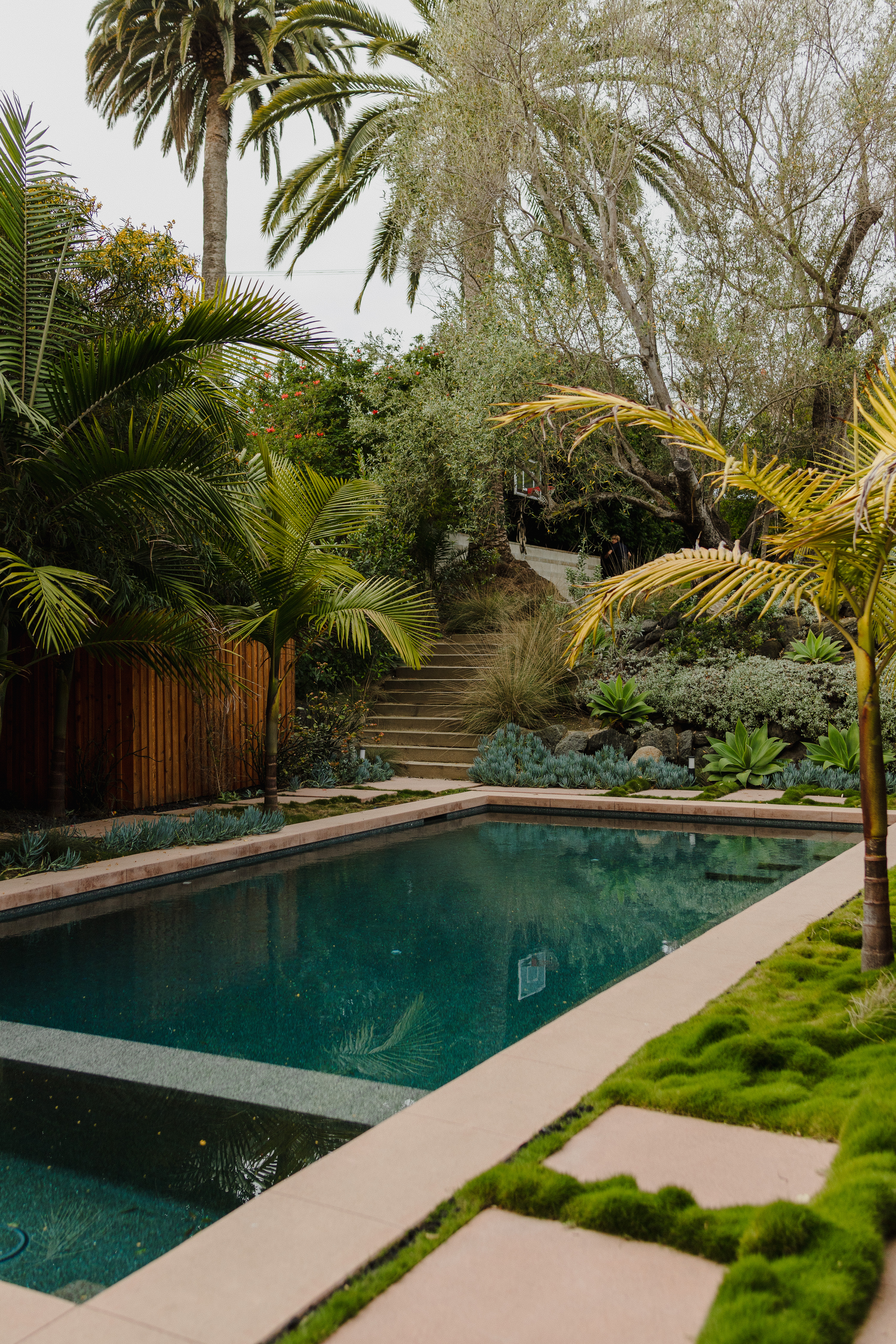 Pool from above with palms and succulents