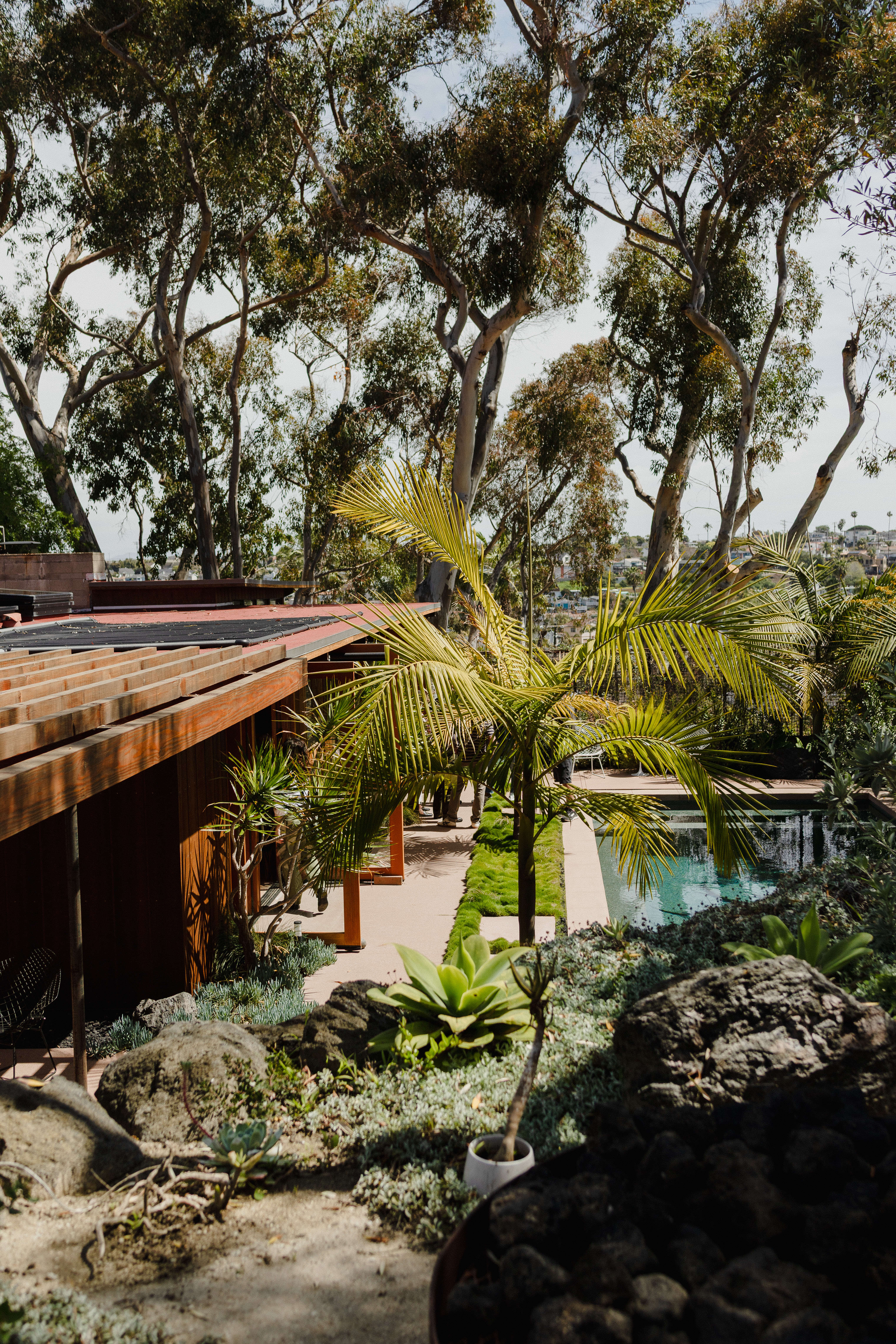 Casa Campo exterior with pool and palms